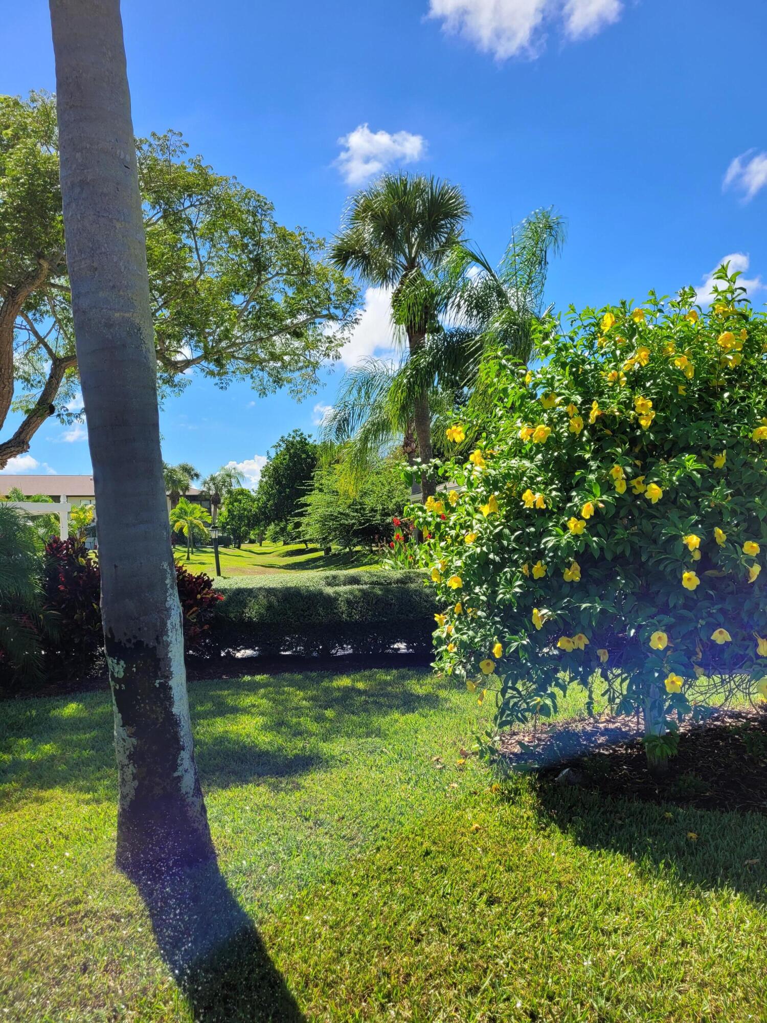2950 Southeast Ocean Boulevard, Unit 1345 Stuart, FL 34996 - Photo 44 of 52 Landscaping 1