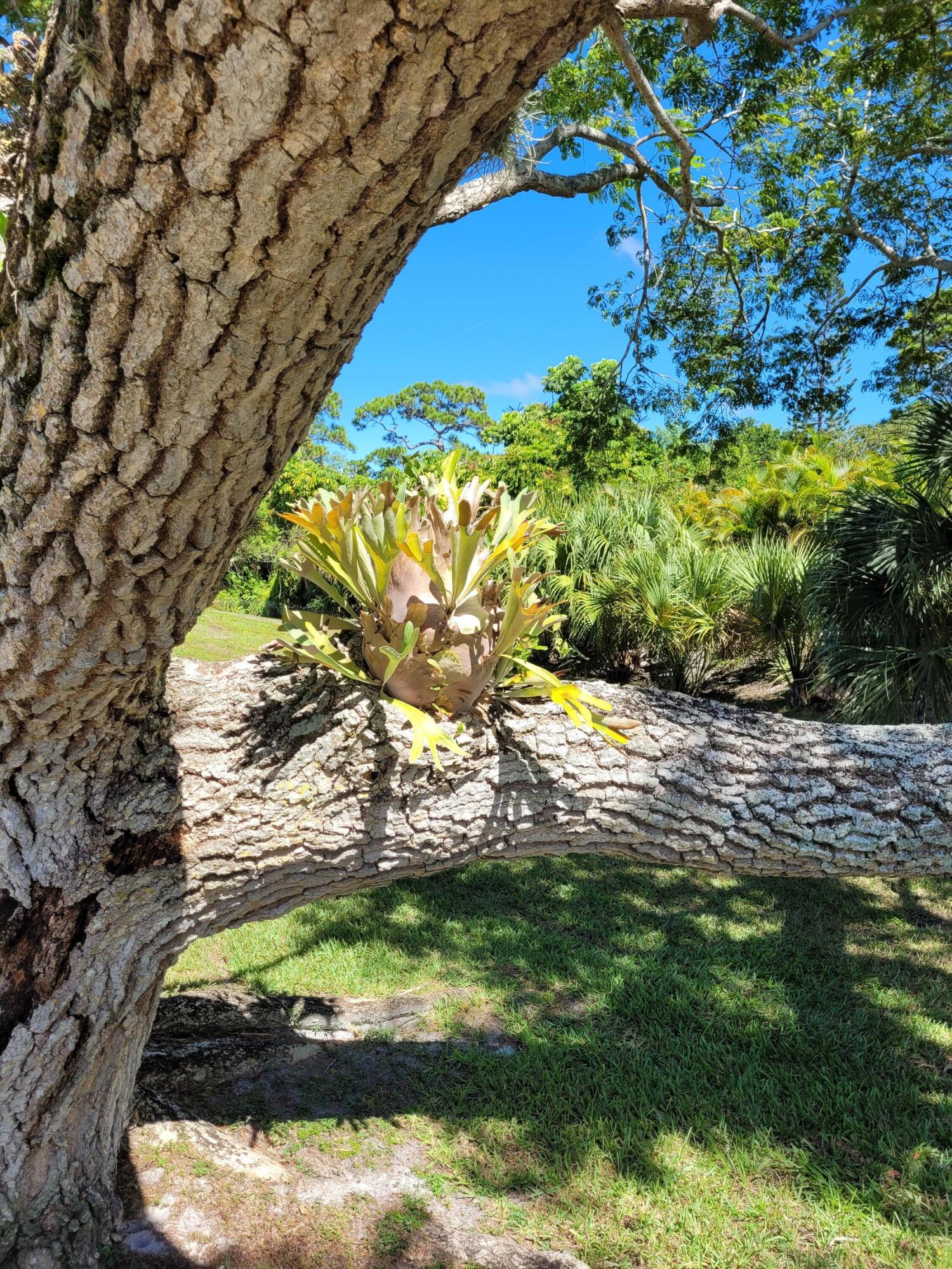 2950 Southeast Ocean Boulevard, Unit 1345 Stuart, FL 34996 - Photo 51 of 52 Landscaping 5