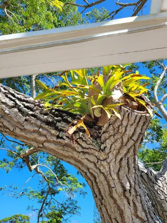 $207,900 | 2950 Southeast Ocean Boulevard, Unit 1345, Stuart, FL 34996