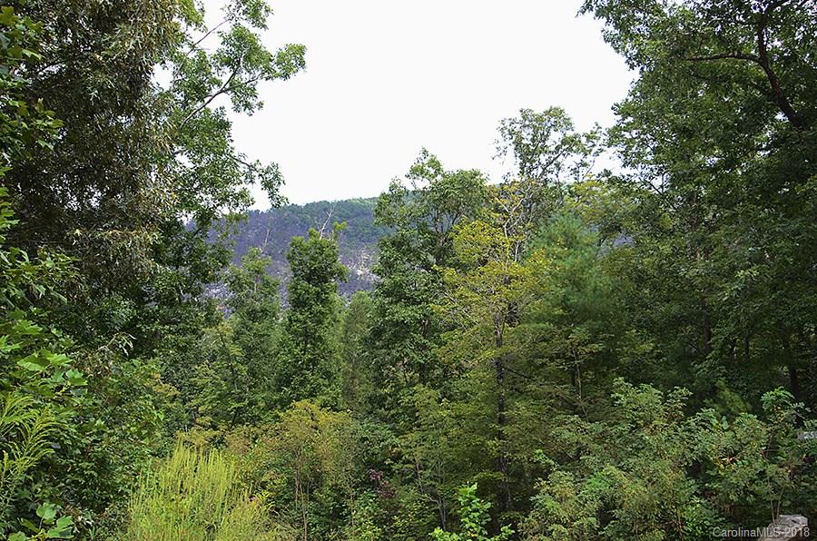 27 Dobsons Knob Loop Road Marion, NC 28752 - Photo 3 of 8 Gallery Image 3