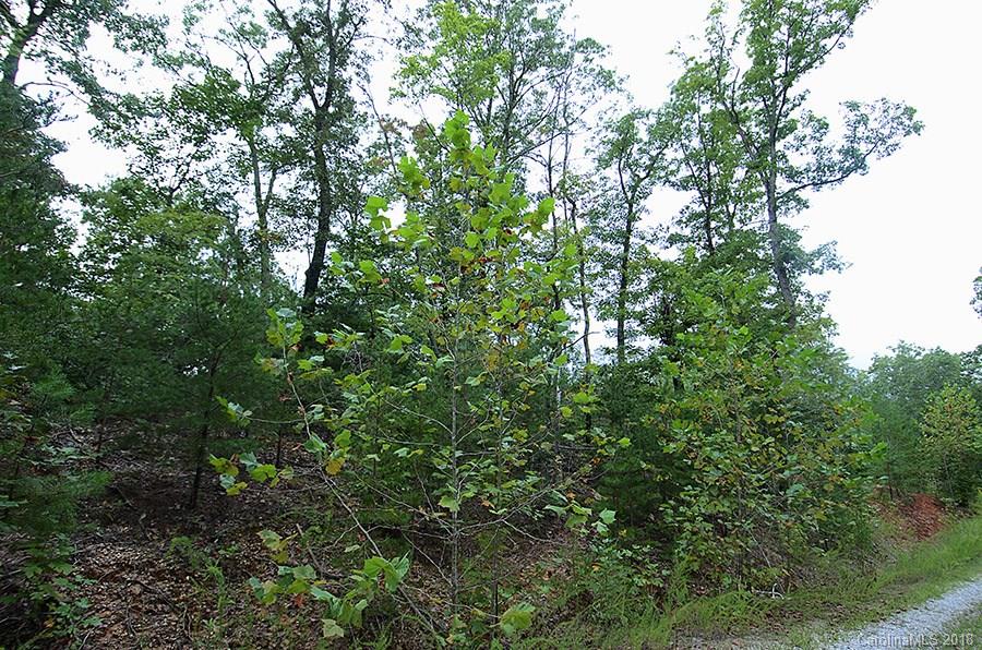 27 Dobsons Knob Loop Road Marion, NC 28752 - Photo 5 of 8 Gallery Image 5