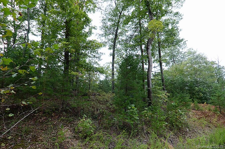 27 Dobsons Knob Loop Road Marion, NC 28752 - Photo 6 of 8 Gallery Image 6
