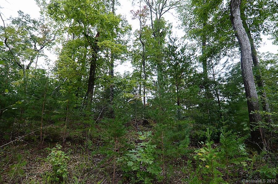 27 Dobsons Knob Loop Road Marion, NC 28752 - Photo 7 of 8 Gallery Image 7