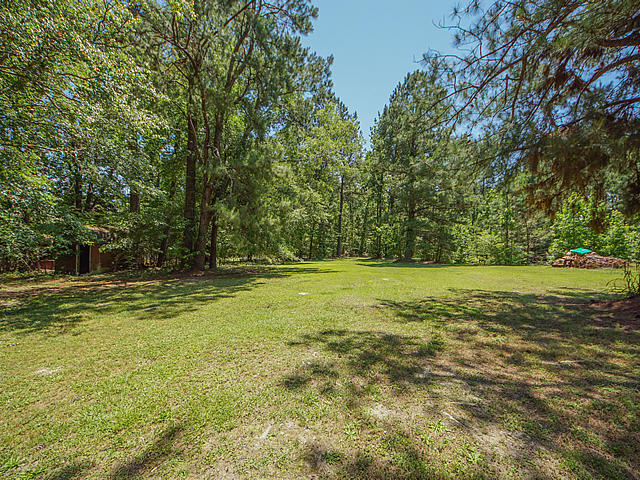 343 Hill Branch Road Ridgeville, SC 29472 - Photo 21 of 23 Hill Branch back yard