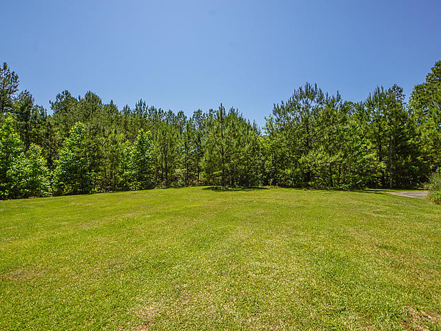 343 Hill Branch Road Ridgeville, SC 29472 - Photo 23 of 23 Hill Branch backyard 2