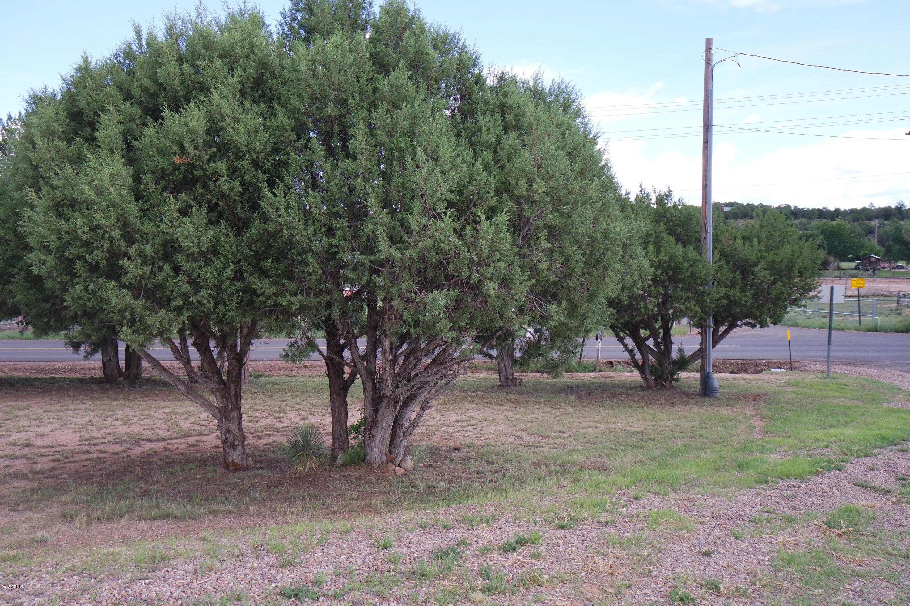 7092 Rocky Rim Road Show Low, AZ 85901 - Photo 44 of 50 Front Yard