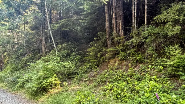 $90,000 | 503 East Sudan Creek Road, Waldport, OR 97394