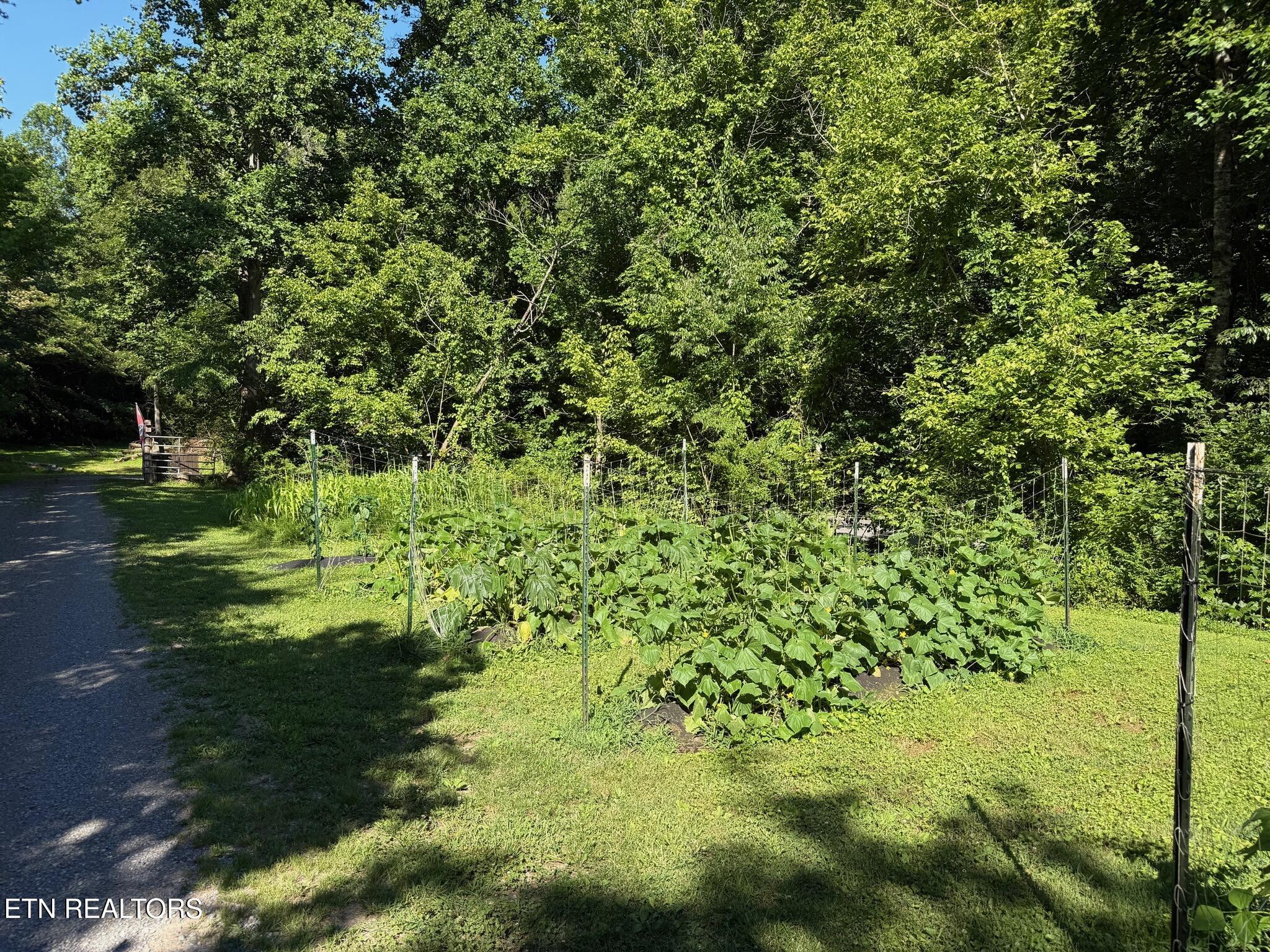 355 Lone Mountain Road Andersonville, TN 37705 - Photo 37 of 45 Garden