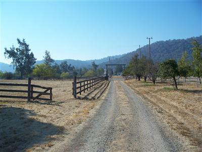 28832 Sandpiper Road Tollhouse, CA 93667 - Photo 10 of 23 Gallery Image 10