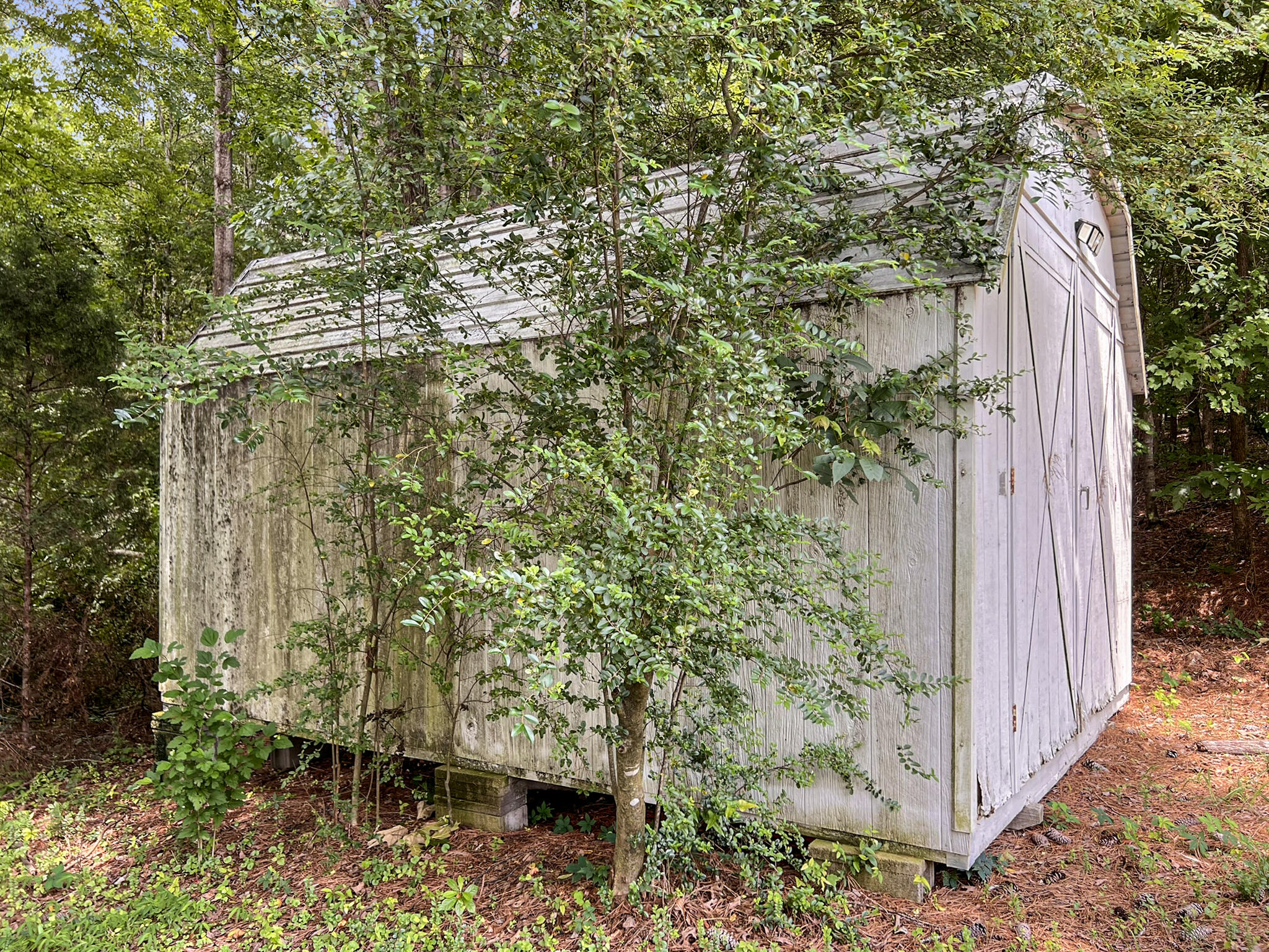 2025 Mt Pisgah Road Ringgold, GA 30736 - Photo 62 of 70 Storage Shed side