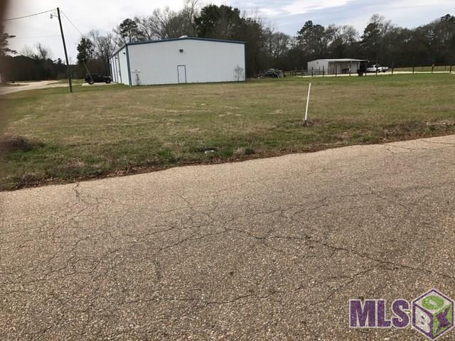 Lot 1 Industry Road Independence, LA 70443 - Photo 2 of 2 Gallery Image 2