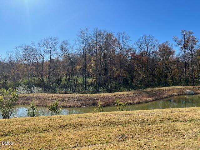 1572 Rhodes Pond Street Wendell, NC 27591 - Photo 5 of 44 a view of a yard with trees