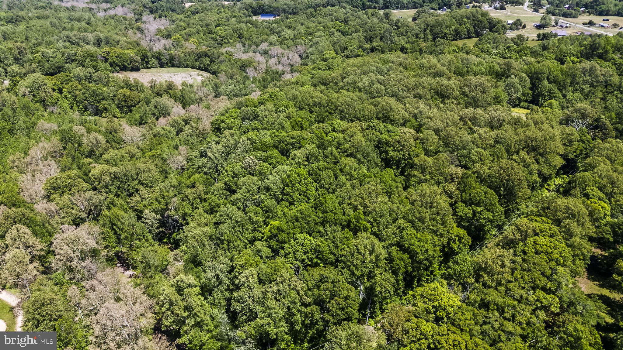 15690 Nelson Perrie Road Brandywine, MD 20613 - Photo 2 of 19