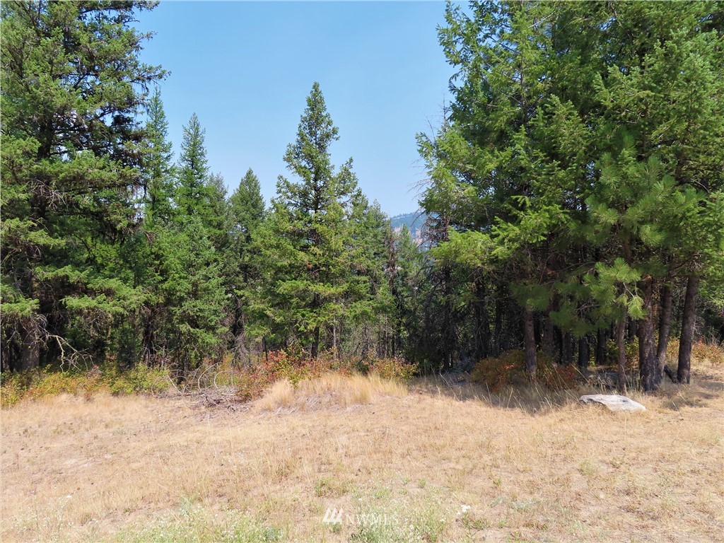 94 East Lilly Creek Road Republic, WA 99166 - Photo 15 of 20 a view of a yard with plants and trees