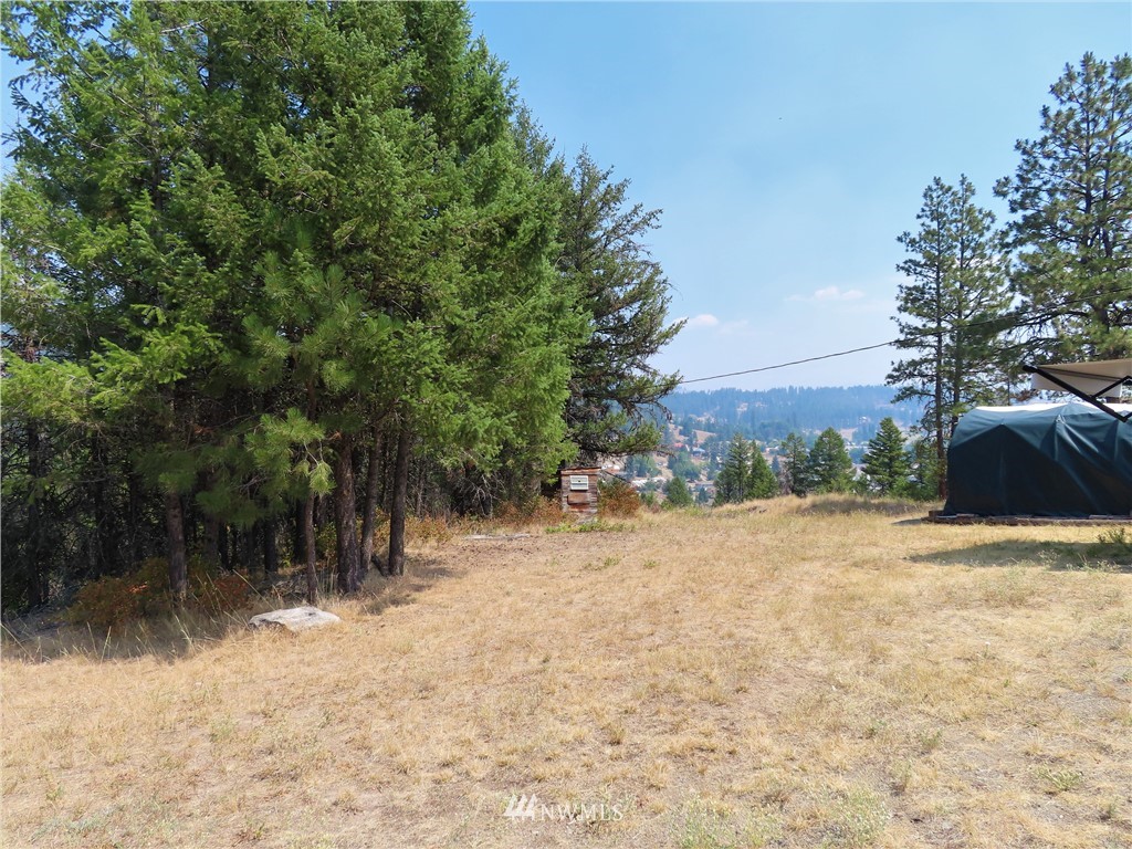 94 East Lilly Creek Road Republic, WA 99166 - Photo 16 of 20 a view of backyard of a house