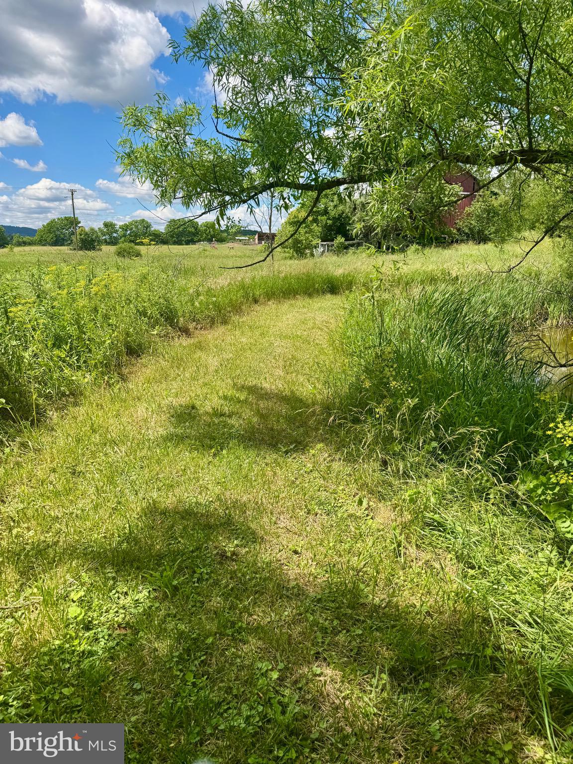 4667 Harper Hill Road Petersburg, PA 16669 - Photo 34 of 96