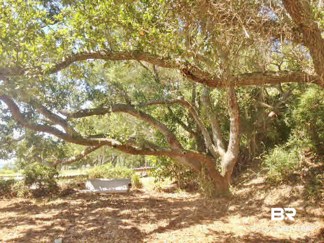 14931 Innerarity Point Road Pensacola, FL 32507 - Photo 3 of 5
