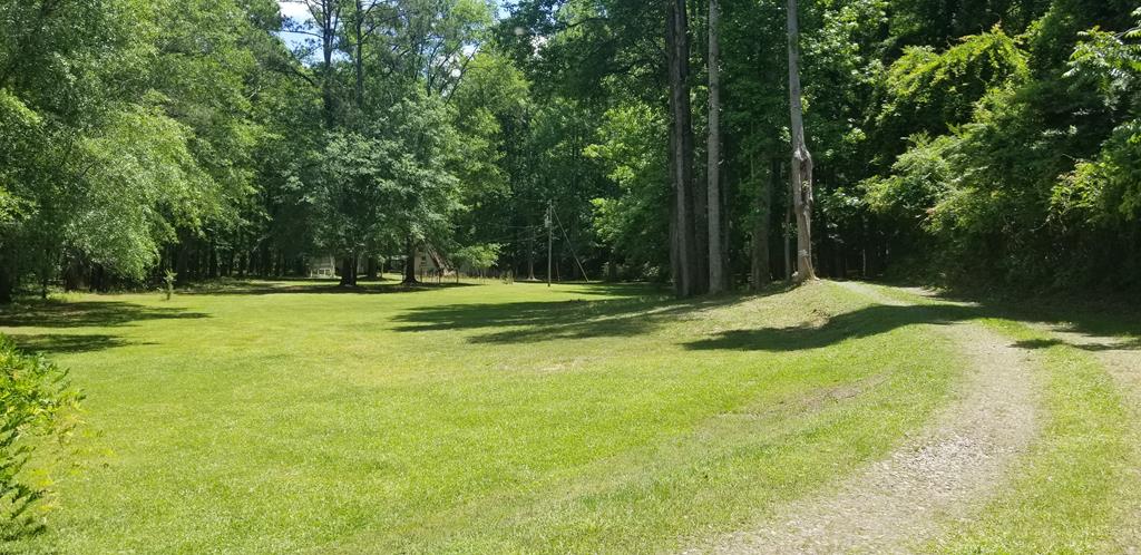 298 Barnes Mill Road Hamilton, GA 31811 - Photo 3 of 18 Gallery Image 3