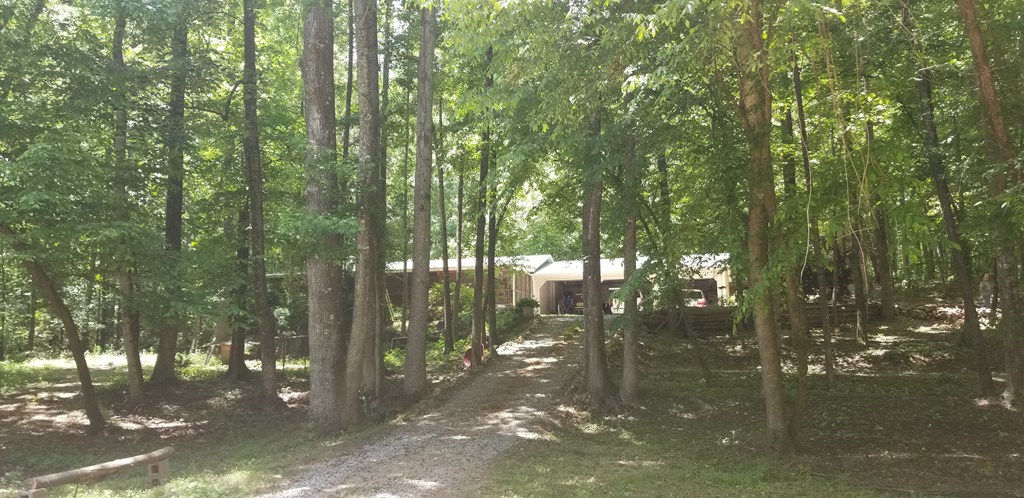 298 Barnes Mill Road Hamilton, GA 31811 - Photo 4 of 18 Gallery Image 4