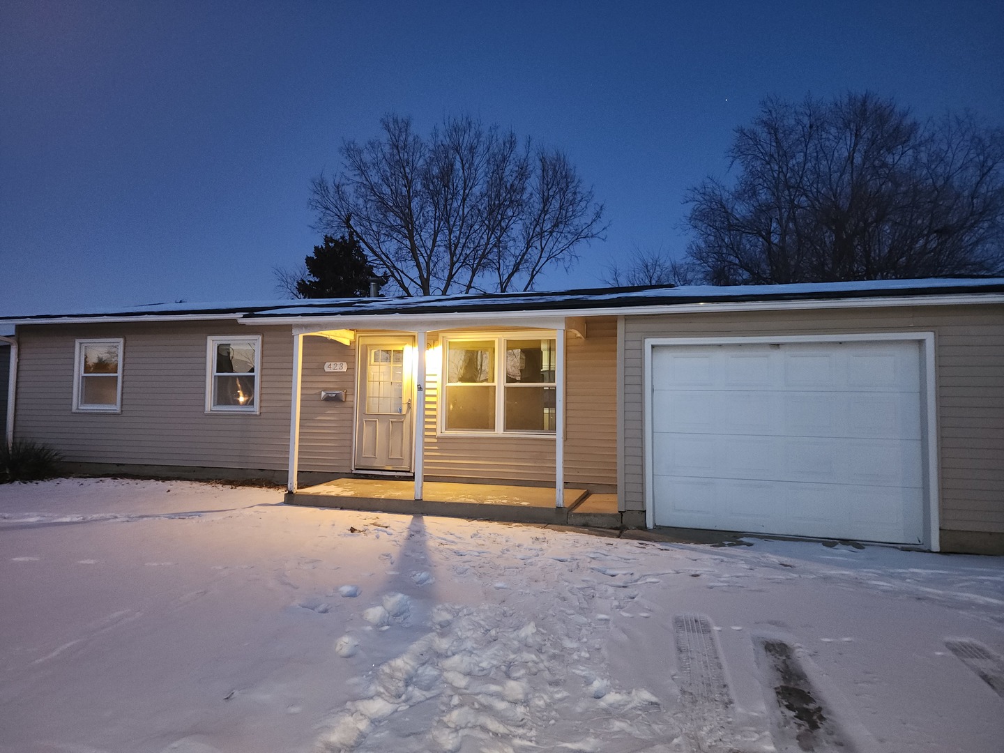 423 Dalhart Avenue Romeoville, IL 60446 - Photo 2 of 9