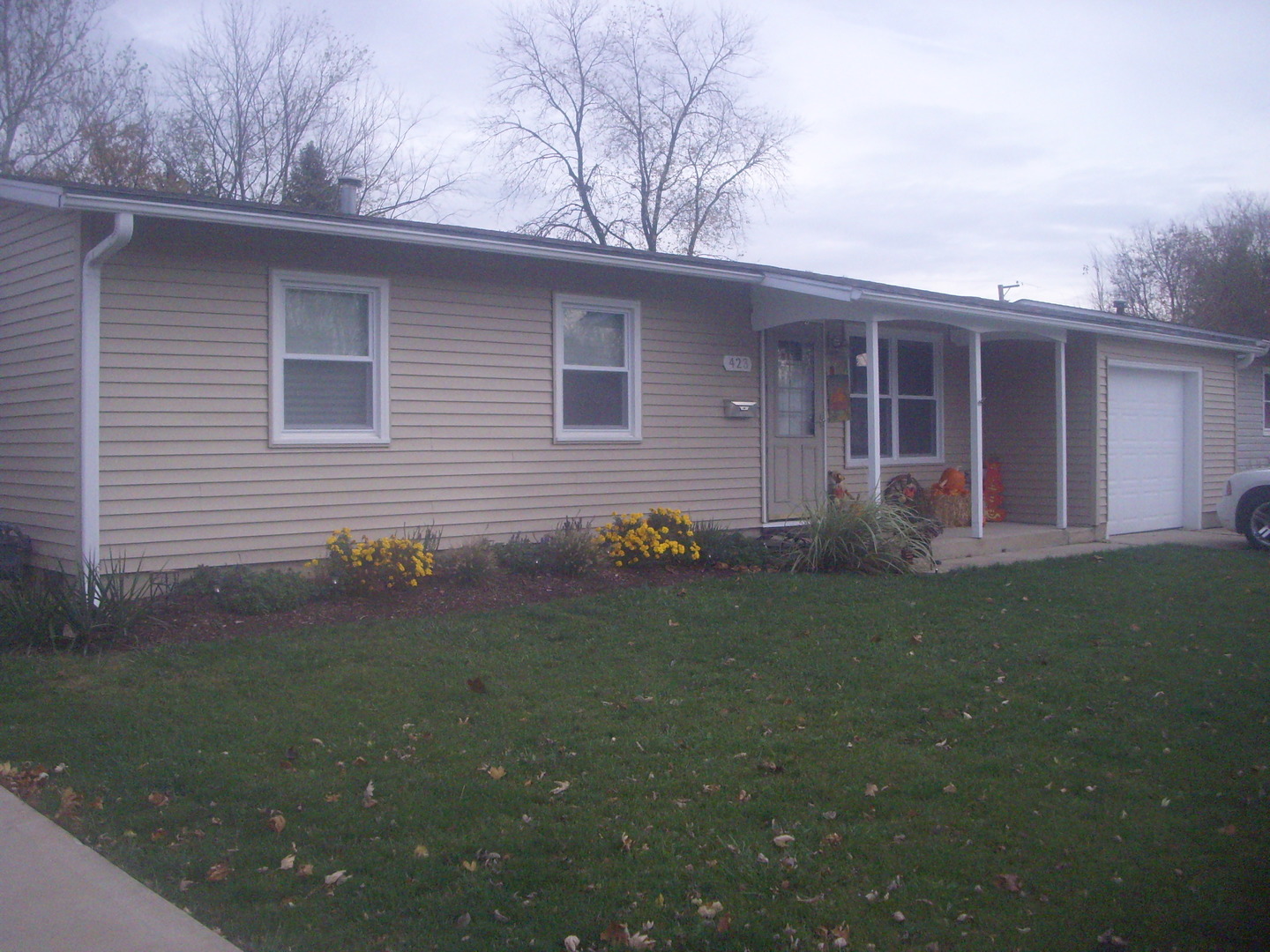 423 Dalhart Avenue Romeoville, IL 60446 - Photo 3 of 9