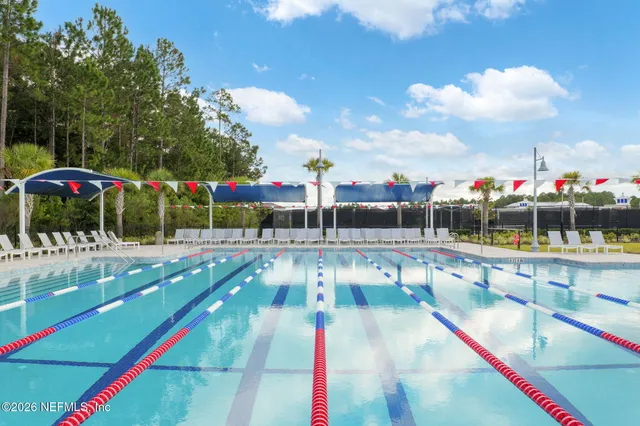 a view of a lake with a yard and palm trees