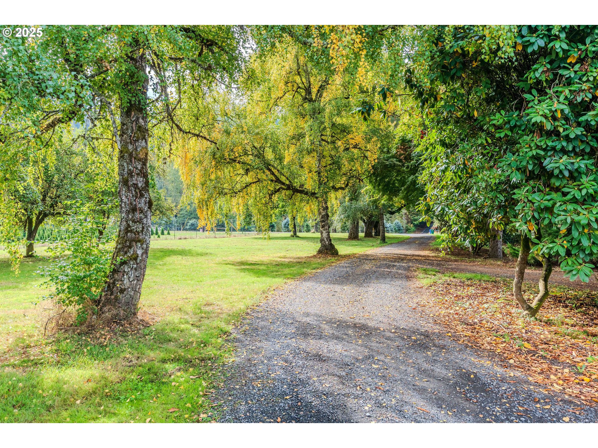 35709 Southeast Lusted Road Boring, OR 97009 - Photo 2 of 48 a view of dirt field with trees in the background