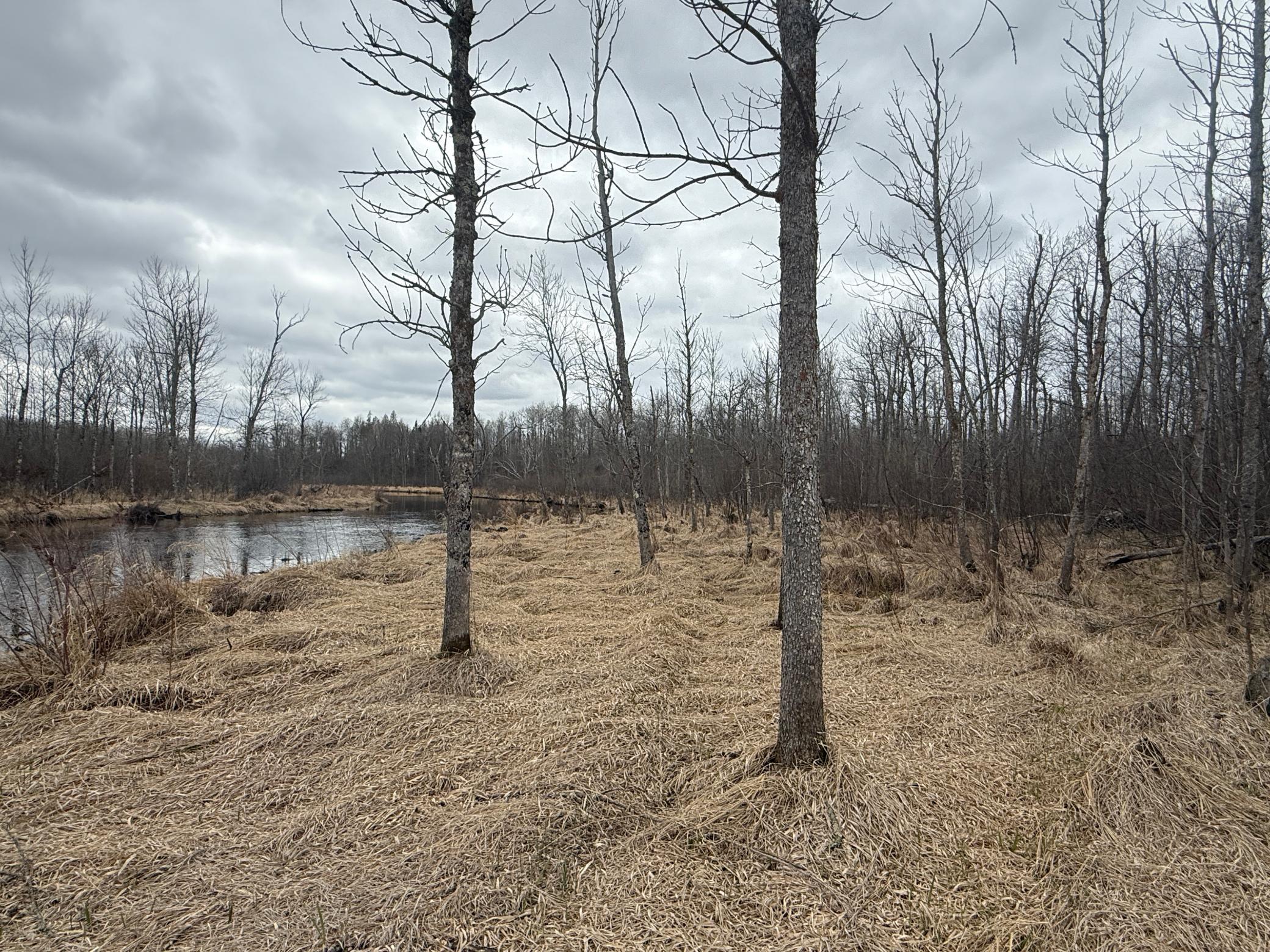 3854 Rasmussen Road Wright, MN 55798 - Photo 72 of 98