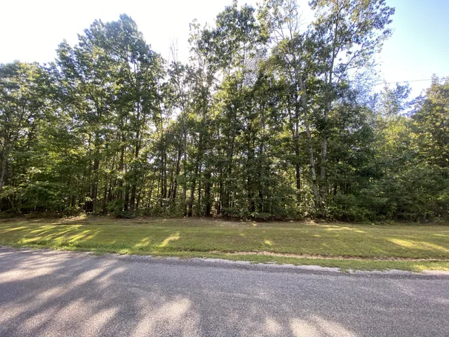 a view of a swimming pool and a yard