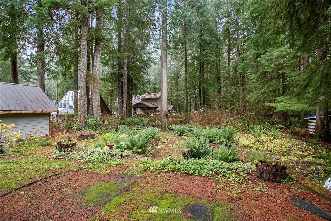 7097 Rainier Way Deming, WA 98244 - Photo 29 of 37 a backyard of a house with lots of green space