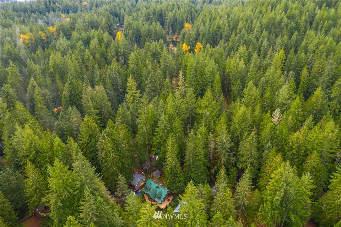 7097 Rainier Way Deming, WA 98244 - Photo 31 of 37 a view of a lush green forest