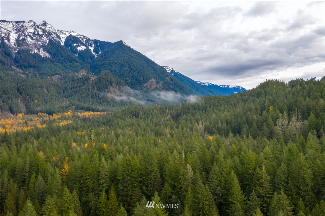 7097 Rainier Way Deming, WA 98244 - Photo 32 of 37 a view of a lush green forest with a mountain in the back