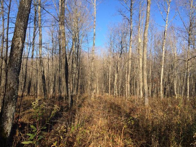 W11746 Cth Road Phillips, WI 54555 - Photo 11 of 12 Gallery Image 11