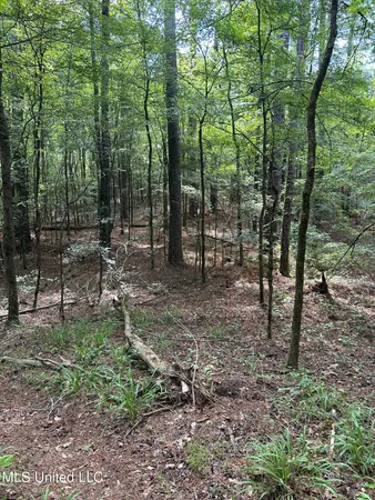 $118,920 | West Boulevard, West, MS 39192