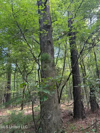 $118,920 | West Boulevard, West, MS 39192