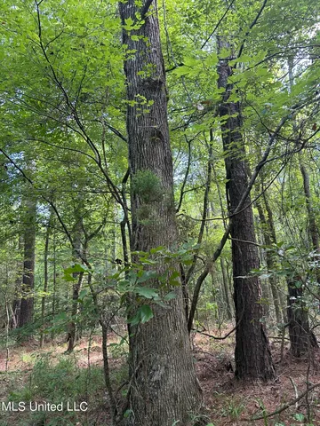 $118,920 | West Boulevard, West, MS 39192