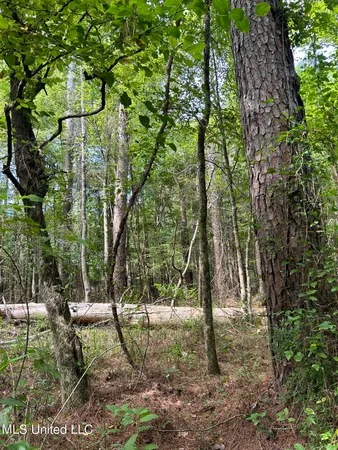 $118,920 | West Boulevard, West, MS 39192