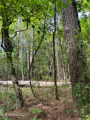 $118,920 | West Boulevard, West, MS 39192