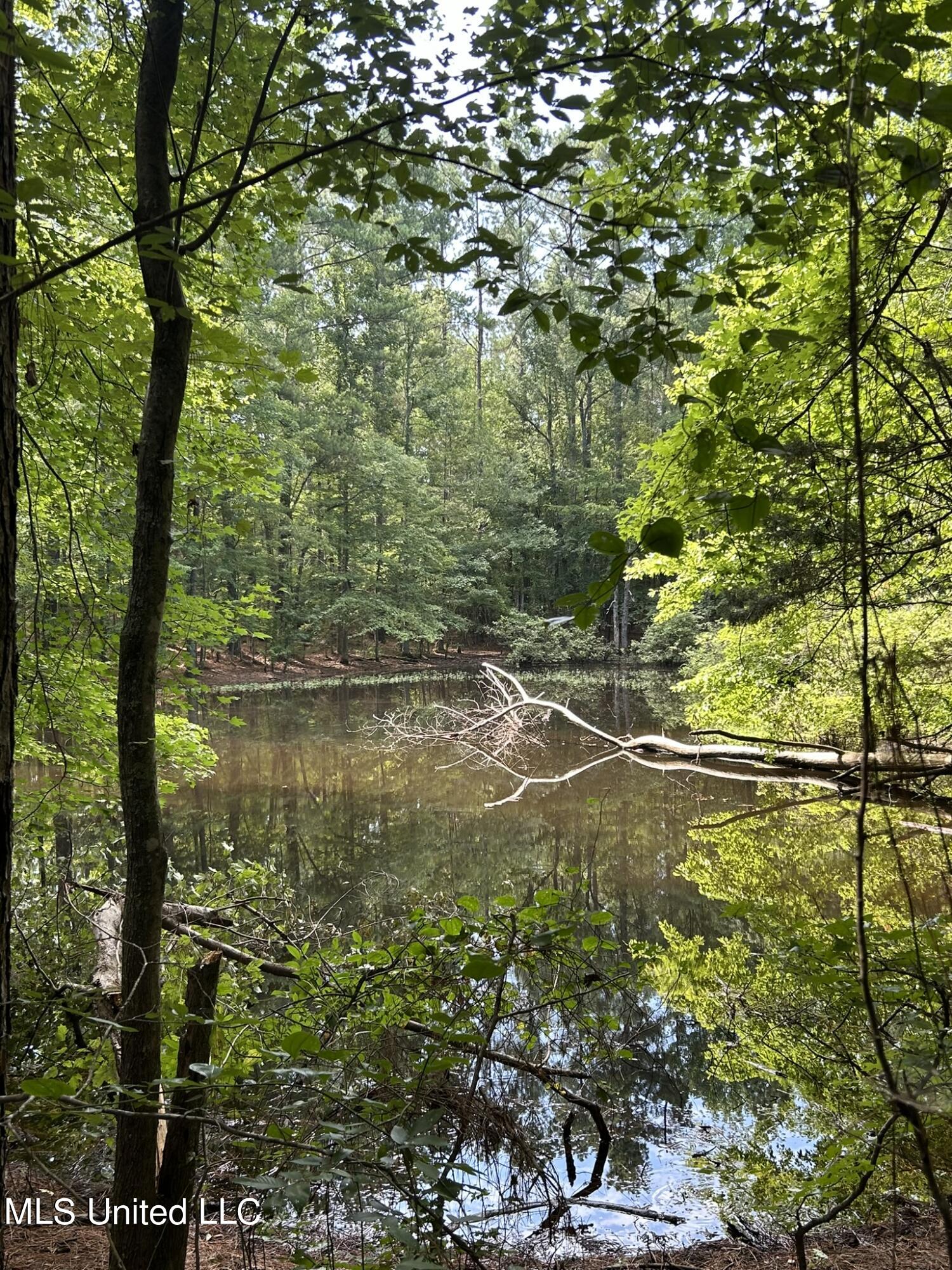 West Boulevard West, MS 39192 - Photo 4 of 6 IMG_5360
