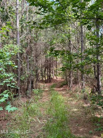 $118,920 | West Boulevard, West, MS 39192