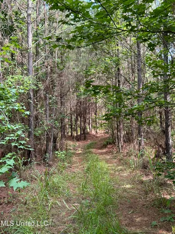 $118,920 | West Boulevard, West, MS 39192