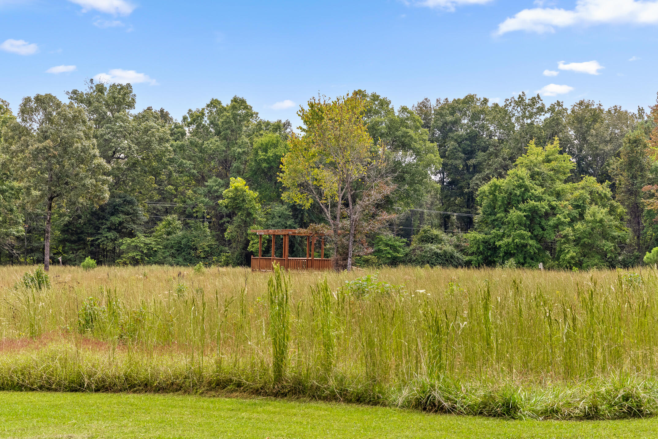 4017 Inlet Loop, Unit 89 Chattanooga, TN 37416 - Photo 30 of 32 Moss-20
