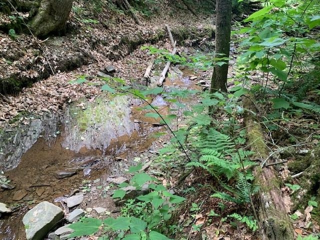 840 Lower Back Creek Road Monterey, VA 24465 - Photo 35 of 49 Gallery Image 35