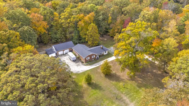 a view of a yard pathway
