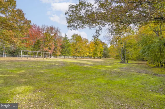 a view of yard with swimming pool and trees