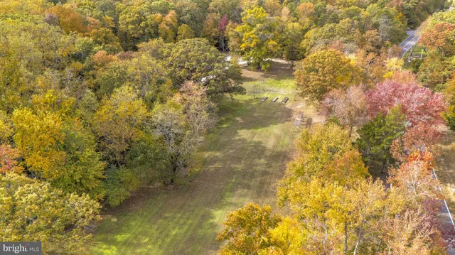 a view of yard with swimming pool and trees