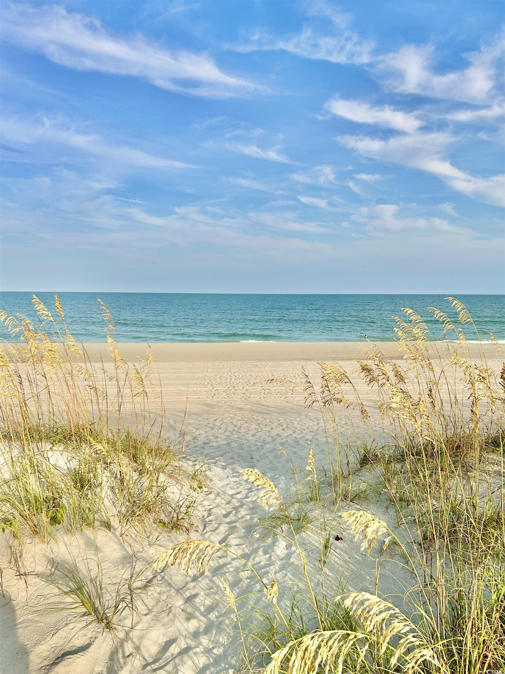 4907 Woodview Lane Myrtle Beach, SC 29575 - Photo 29 of 30 Water view featuring local beach