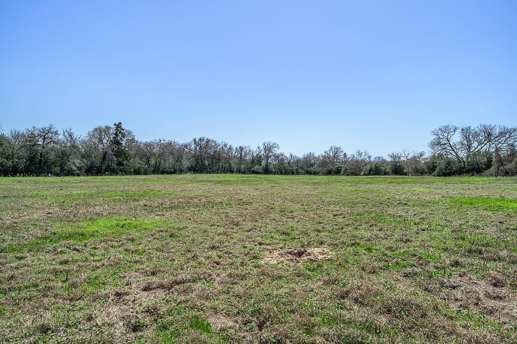311 Lot 5 Feder Way Point West Point, TX 78963 - Photo 5 of 17 a view of a field with an ocean view