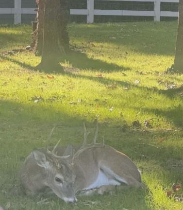 711 King Charles Road Scroggins, TX 75480 - Photo 34 of 39 a view of a ocean view