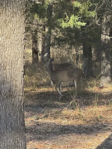 $365,000 | 711 King Charles Road, Scroggins, TX 75480